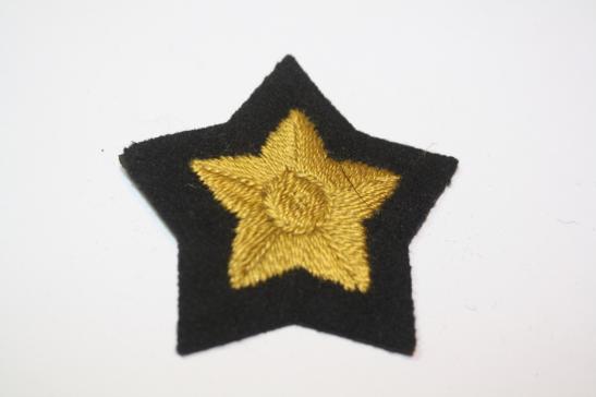 Civil Defence Corps Profiency Badge