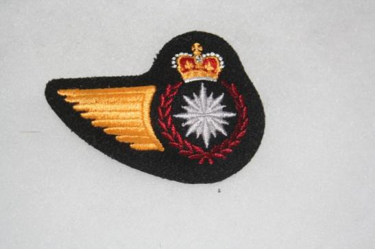 Royal Canadian Airforce Intelligence Trade Wing