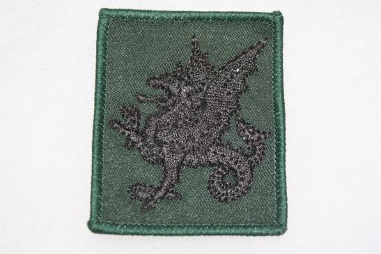 43rd Wessex Brigade TRF
