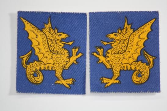 43rd Wessex Brigade Matched Pair Printed