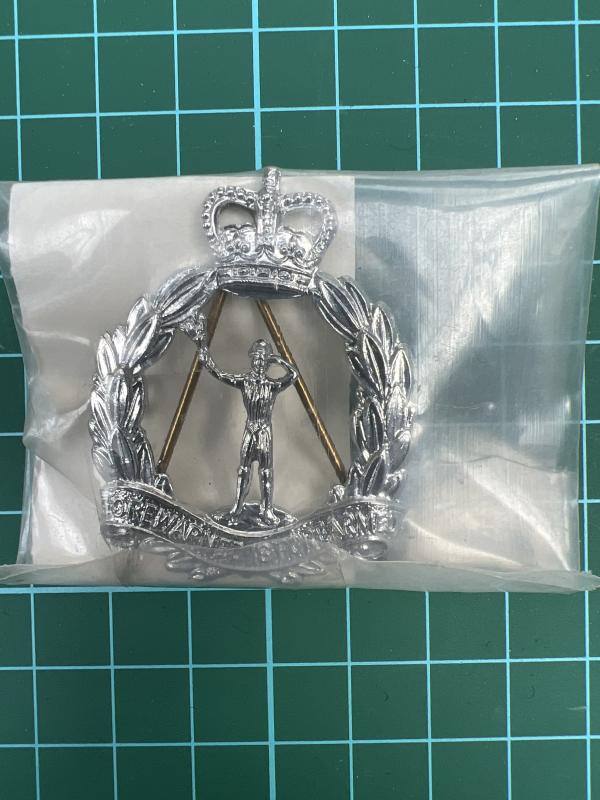 Royal Observer Corps QC Chrome Cap Badge