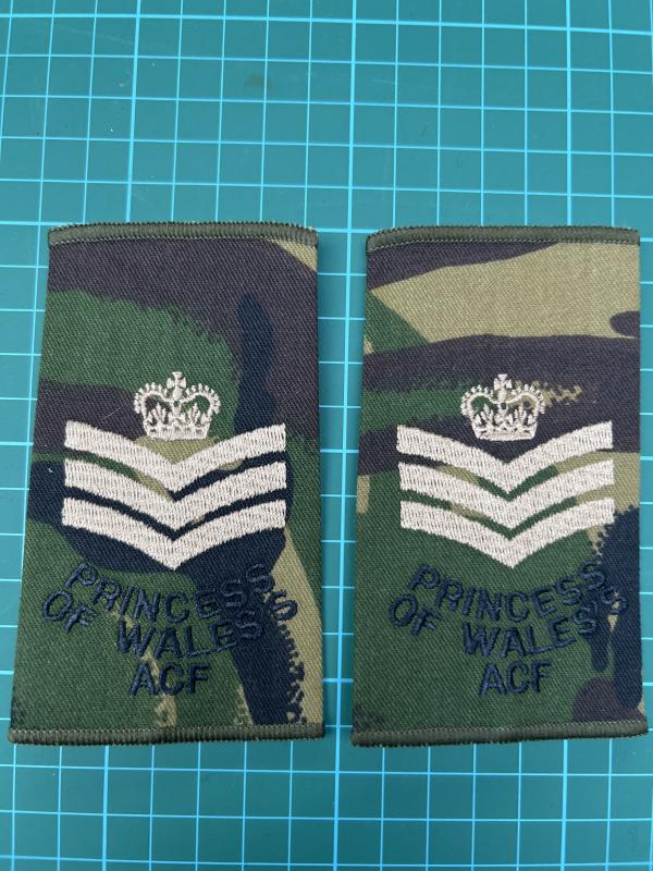 Princess Of Wales’s Staff Sergeant ACF Rank Slides