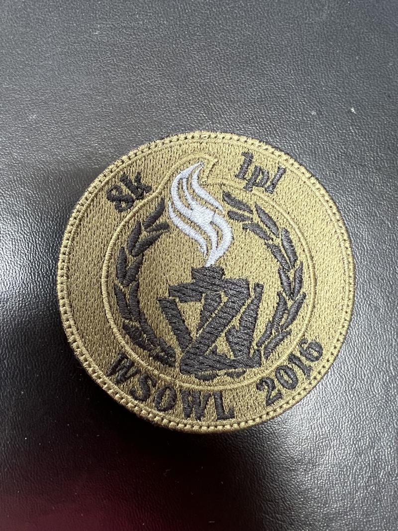 Poland Military Police Patch Zandarmeria Wojskowa