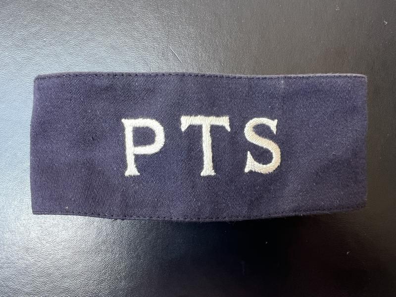 Preliminary Training School Armband