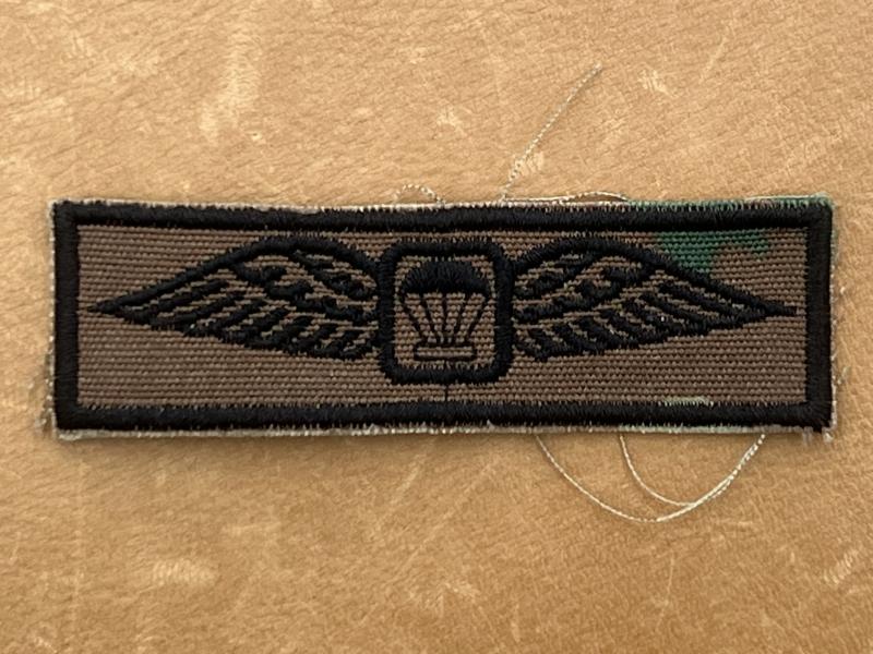 South African Army Parachute Instructor Wings