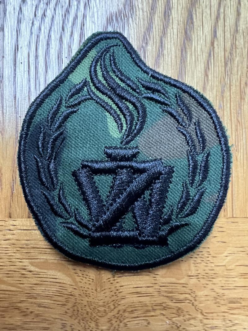 Poland Zandarmeria Wojskowa (Military Police)